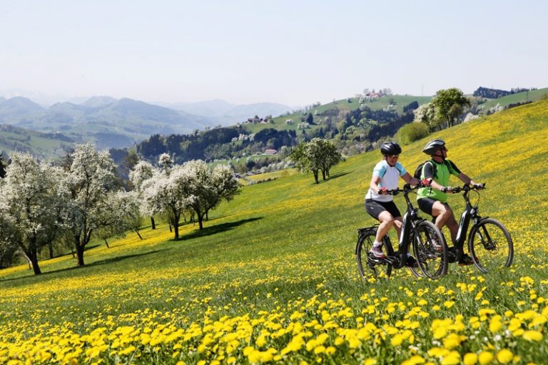 Radfahren bei der Baumblüte (© weinfranz.at )